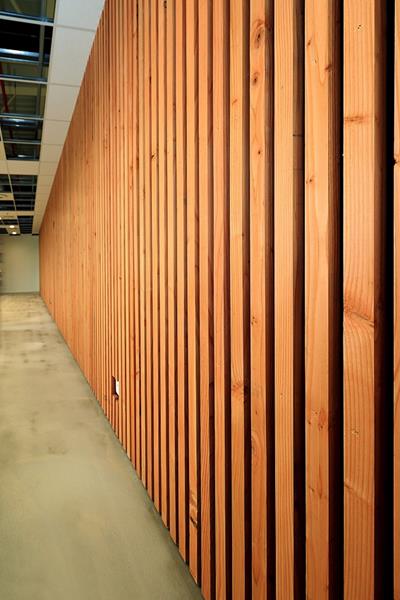 Suivi de chantier NTN-SNR (du 1er au 15 février)